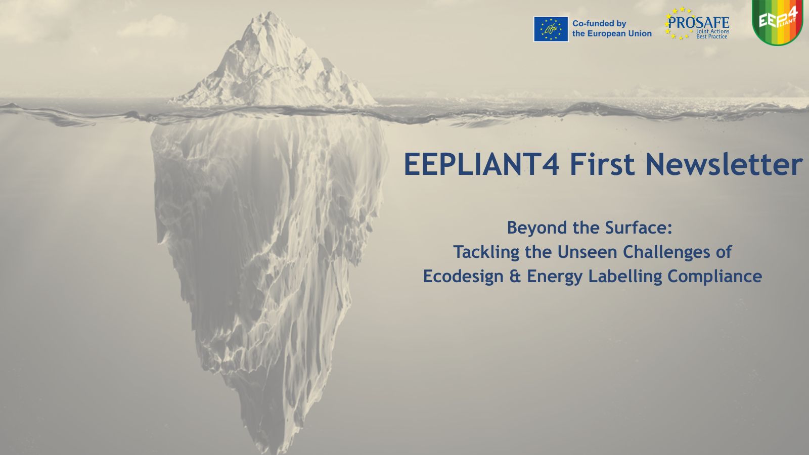 EEPLIANT4 First Newsletter
